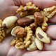 Person's hand holding mixed nuts